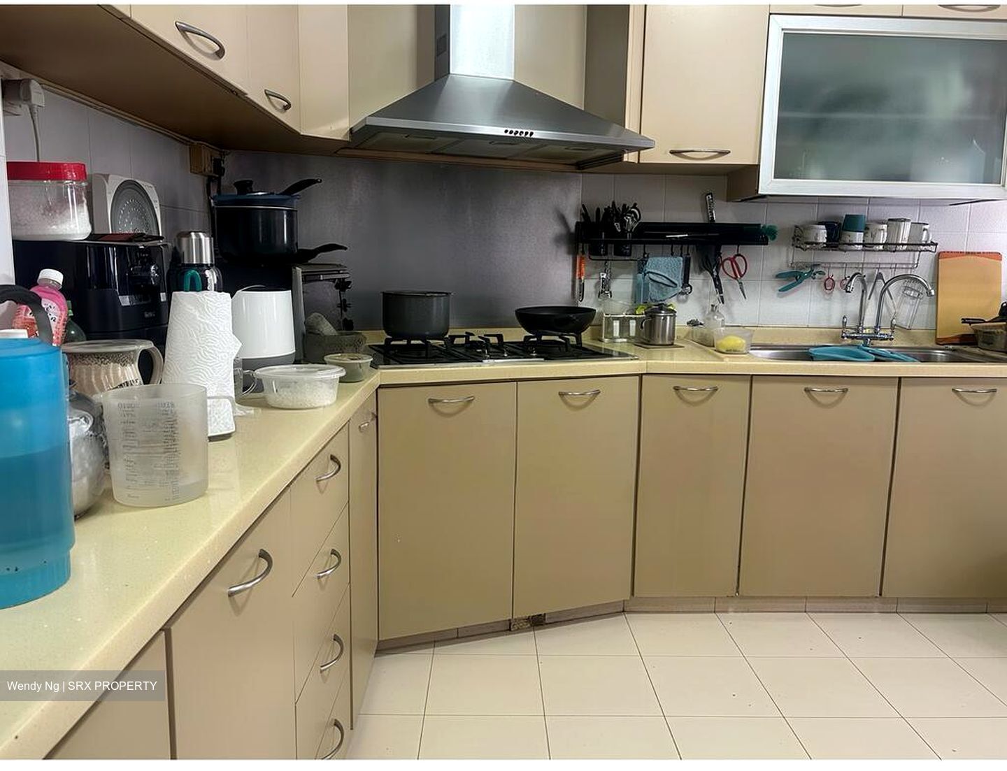 Blk 521 Pangshan Valley (Bukit Panjang), HDB Executive #505061391